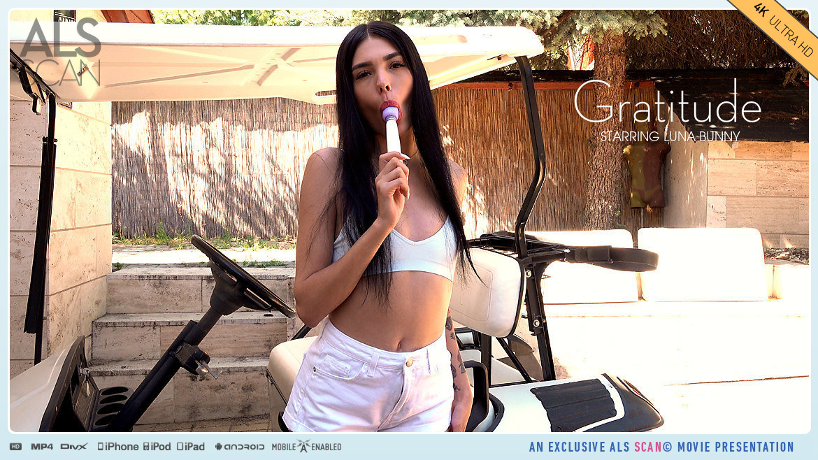 Gratitude – Luna Bunny